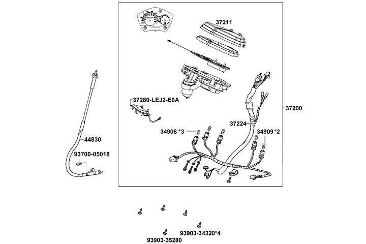 Instrument